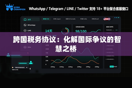  跨国税务协议：化解国际争议的智慧之桥