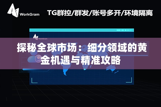  探秘全球市场：细分领域的黄金机遇与精准攻略