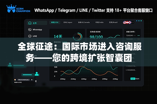  全球征途：国际市场进入咨询服务——您的跨境扩张智囊团