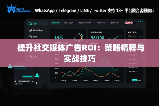  提升社交媒体广告ROI：策略精粹与实战技巧