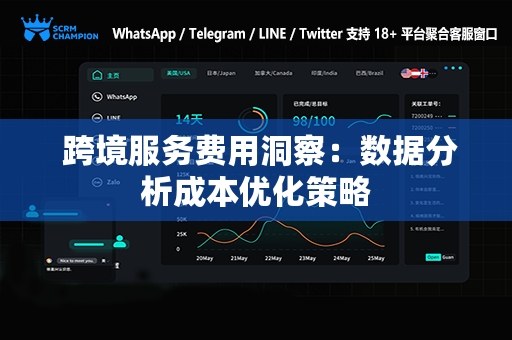  跨境服务费用洞察：数据分析成本优化策略