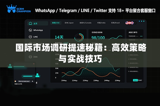  国际市场调研提速秘籍：高效策略与实战技巧