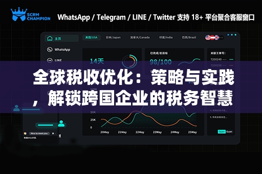  全球税收优化：策略与实践，解锁跨国企业的税务智慧