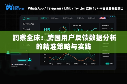  洞察全球：跨国用户反馈数据分析的精准策略与实践
