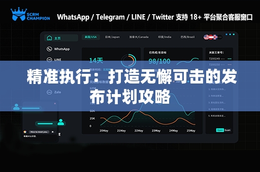 精准执行：打造无懈可击的发布计划攻略