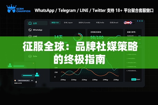  征服全球：品牌社媒策略的终极指南