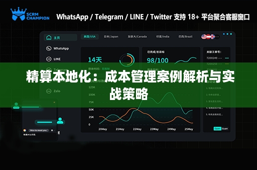  精算本地化：成本管理案例解析与实战策略