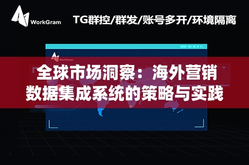  全球市场洞察：海外营销数据集成系统的策略与实践