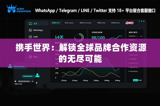  携手世界：解锁全球品牌合作资源的无尽可能