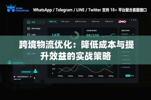  跨境物流优化：降低成本与提升效益的实战策略