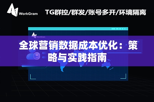  全球营销数据成本优化：策略与实践指南
