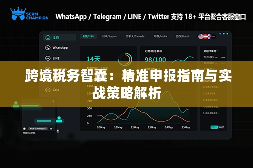  跨境税务智囊：精准申报指南与实战策略解析