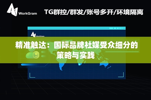  精准触达：国际品牌社媒受众细分的策略与实践