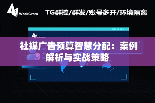  社媒广告预算智慧分配：案例解析与实战策略