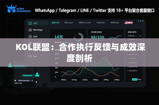  KOL联盟：合作执行反馈与成效深度剖析