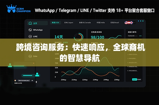  跨境咨询服务：快速响应，全球商机的智慧导航