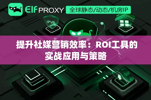  提升社媒营销效率：ROI工具的实战应用与策略