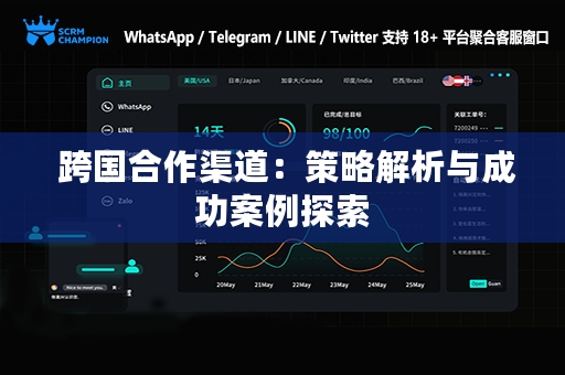  跨国合作渠道：策略解析与成功案例探索