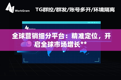  全球营销细分平台：精准定位，开启全球市场增长**