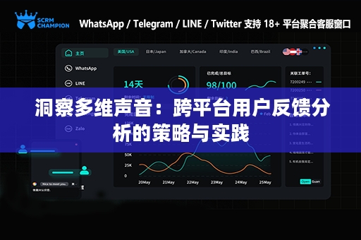  洞察多维声音：跨平台用户反馈分析的策略与实践
