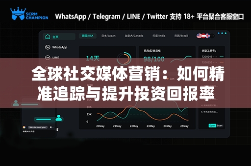  全球社交媒体营销：如何精准追踪与提升投资回报率