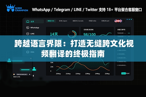  跨越语言界限：打造无缝跨文化视频翻译的终极指南