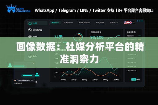  画像数据：社媒分析平台的精准洞察力
