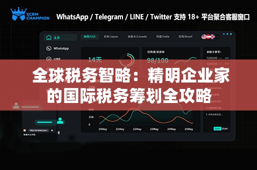  全球税务智略：精明企业家的国际税务筹划全攻略