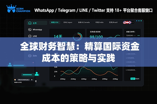  全球财务智慧：精算国际资金成本的策略与实践