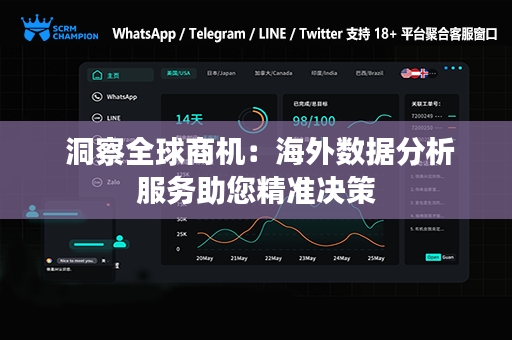  洞察全球商机：海外数据分析服务助您精准决策
