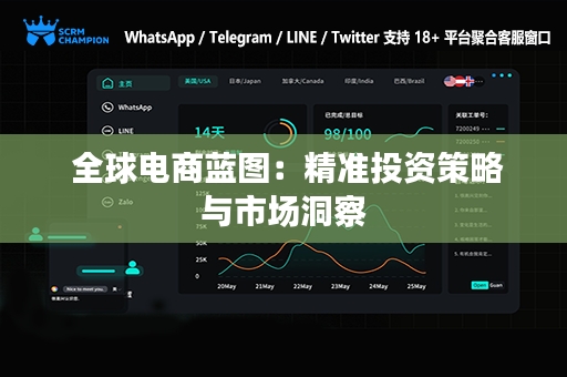  全球电商蓝图：精准投资策略与市场洞察