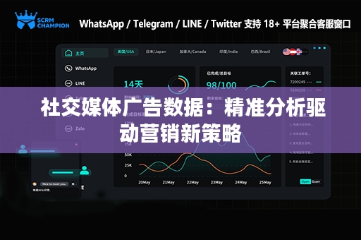  社交媒体广告数据：精准分析驱动营销新策略