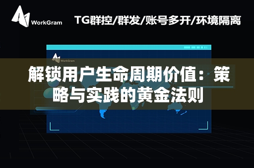  解锁用户生命周期价值：策略与实践的黄金法则