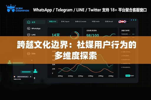  跨越文化边界：社媒用户行为的多维度探索