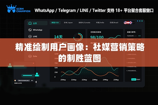  精准绘制用户画像：社媒营销策略的制胜蓝图