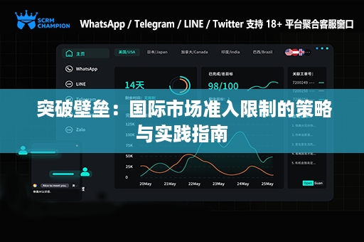  突破壁垒：国际市场准入限制的策略与实践指南