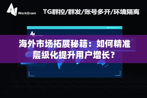  海外市场拓展秘籍：如何精准层级化提升用户增长？