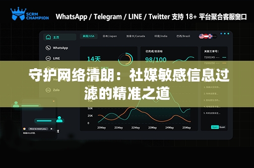  守护网络清朗：社媒敏感信息过滤的精准之道