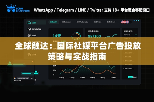  全球触达：国际社媒平台广告投放策略与实战指南