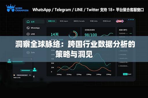  洞察全球脉络：跨国行业数据分析的策略与洞见