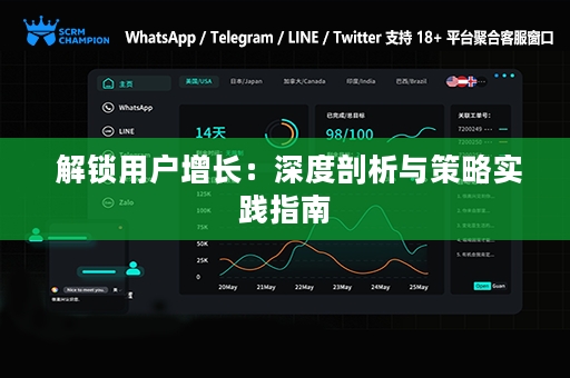 解锁用户增长：深度剖析与策略实践指南
