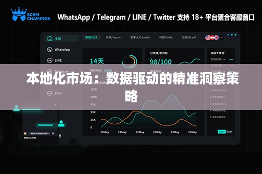  本地化市场：数据驱动的精准洞察策略
