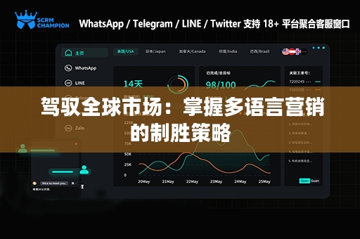  驾驭全球市场：掌握多语言营销的制胜策略