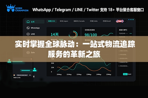  实时掌握全球脉动：一站式物流追踪服务的革新之旅