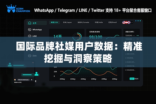  国际品牌社媒用户数据：精准挖掘与洞察策略