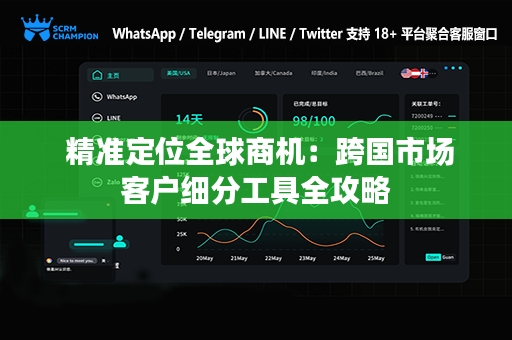  精准定位全球商机：跨国市场客户细分工具全攻略