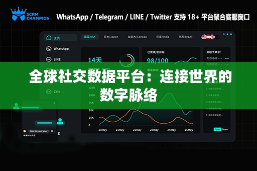  全球社交数据平台：连接世界的数字脉络