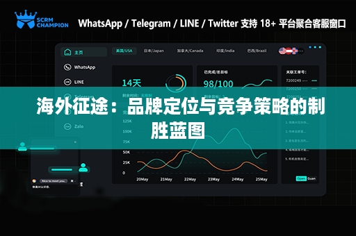  海外征途：品牌定位与竞争策略的制胜蓝图