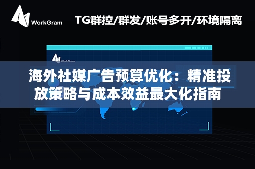  海外社媒广告预算优化：精准投放策略与成本效益最大化指南