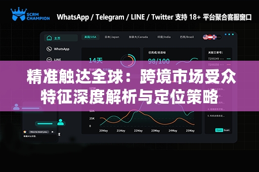  精准触达全球：跨境市场受众特征深度解析与定位策略